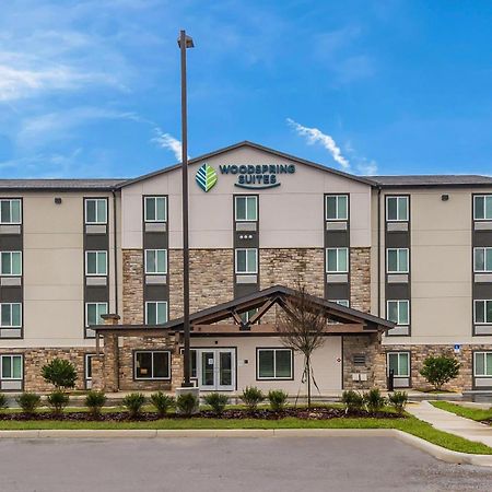 Woodspring Suites Tampa Airport North Veterans Expressway Ngoại thất bức ảnh